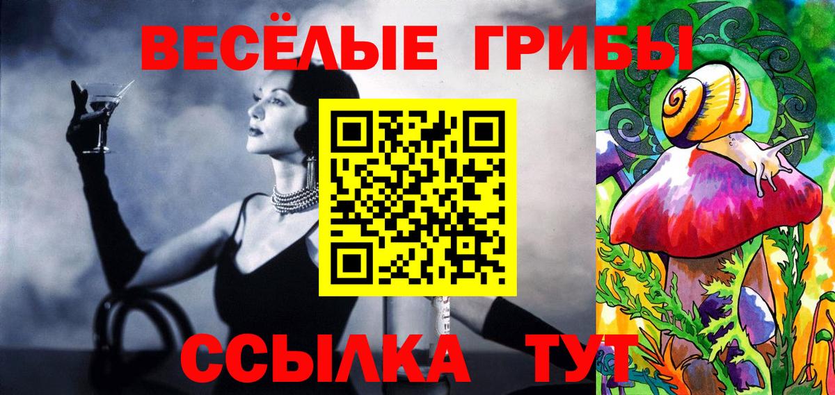 Шатура  цены наркотик  Вход с VPN  Псилоцибиновые грибы Cubensis 